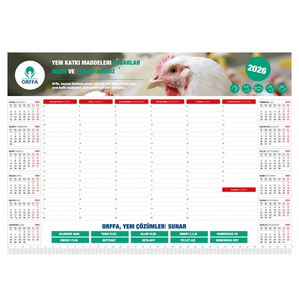 MS-20-48x34 Tarihsiz Masa Sümeni