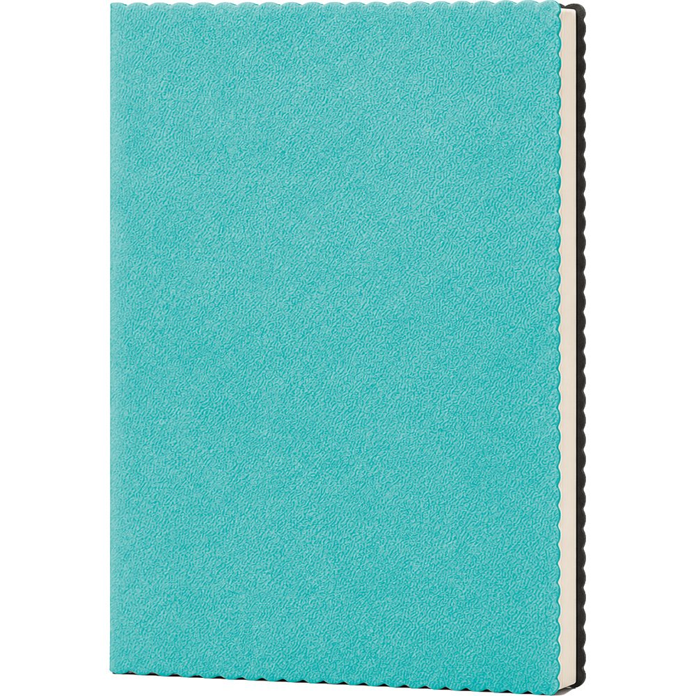 Erciyes-TRK Tarihsiz Defter